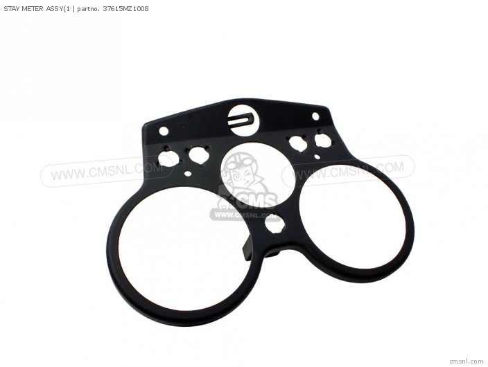 STAY METER ASSY(1