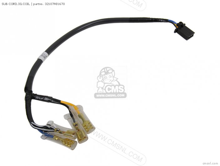 SUB CORD,IG,COIL