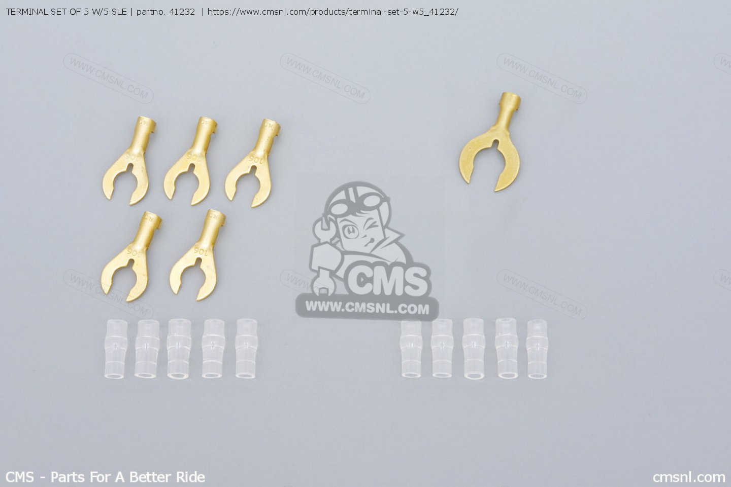 Terminal Set Of W Sle Daytona Buy The At Cmsnl