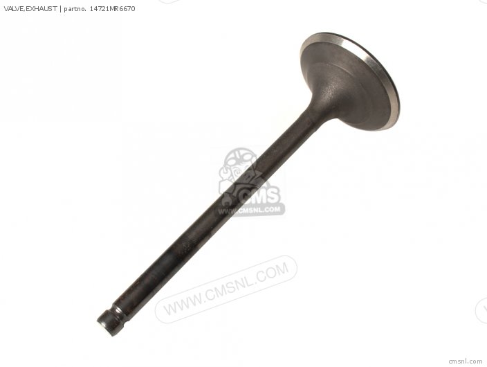 VALVE,EXHAUST
