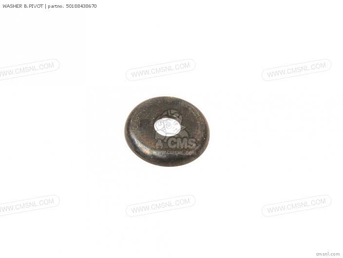 WASHER B.PIVOT