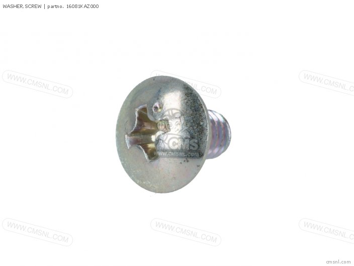 WASHER,SCREW