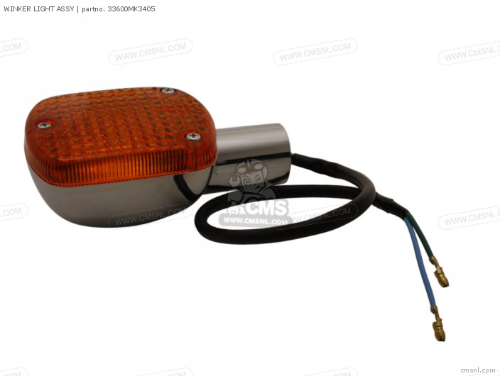 WINKER LIGHT ASSY