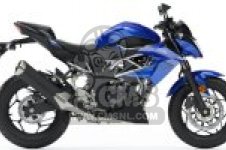 Kawasaki BR125KKF Z125 2019 EUROPE,MIDDLE EAST,AFRICA parts lists