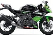 ワピカページ Kawasaki/Ninja ZX-25R/SE (2BK-ZX250E) POWERBOX FULL | SP忠男