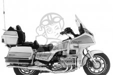 Honda GL1200 GOLDWING parts: order spare parts online at CMSNL