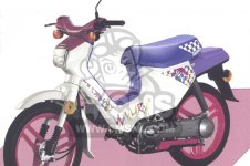 Honda PK50 parts: order spare parts online at CMSNL