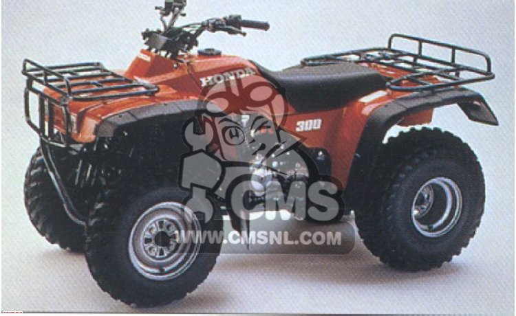 TRX300FW FOURTRAX 1998 (W) USA
