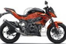  BR250FGF Z250SL ABS 2016 EUROPE,MIDDLE EAST,AFRICA