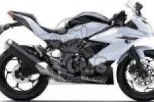  BX250AFS NINJA 250SL 2015 EUROPE,MIDDLE EAST,AFRICA