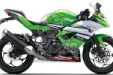  BX250AFSA NINJA 250SL 2015 EUROPE,MIDDLE EAST,AFRICA