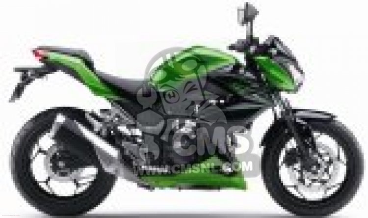 ER300AGF Z300 2016 EUROPE,MIDDLE EAST,AFRICA