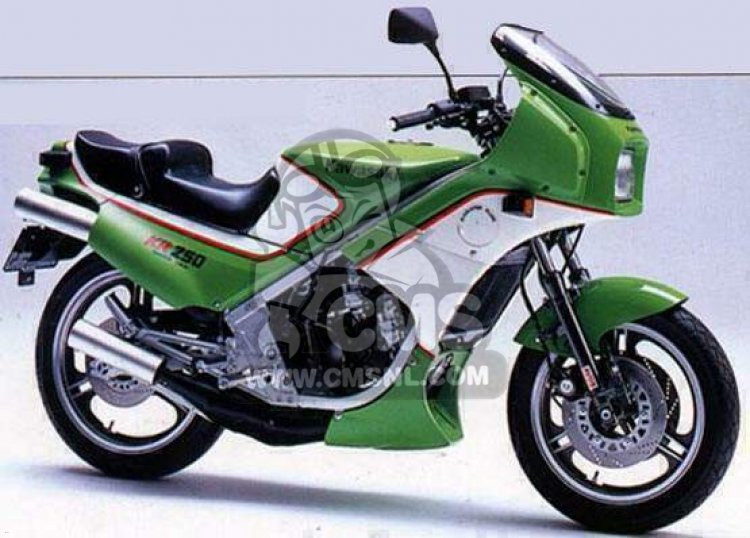 Kawasaki KR250