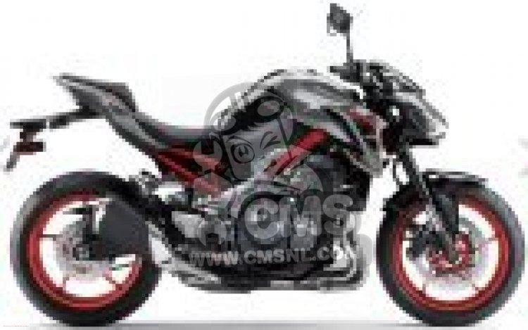 ZR900DKF Z900 2019 EUROPE,MIDDLE EAST,AFRICA