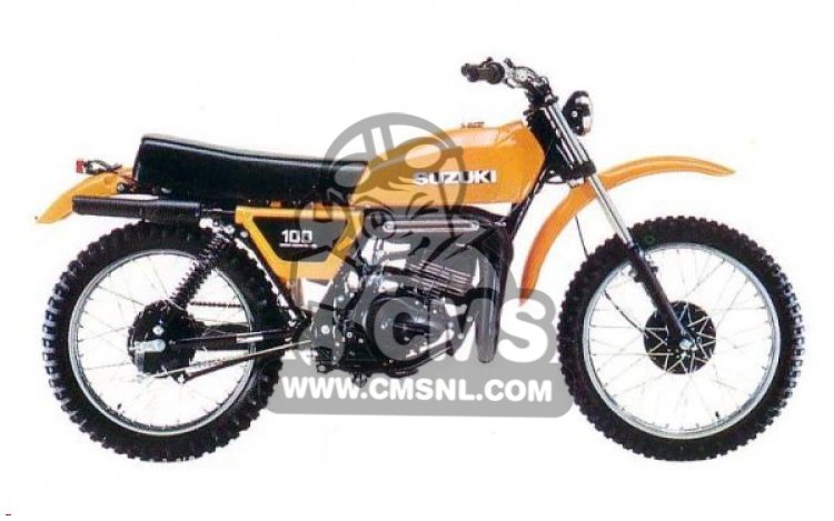 Suzuki DS100