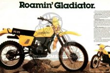 Suzuki Enduro