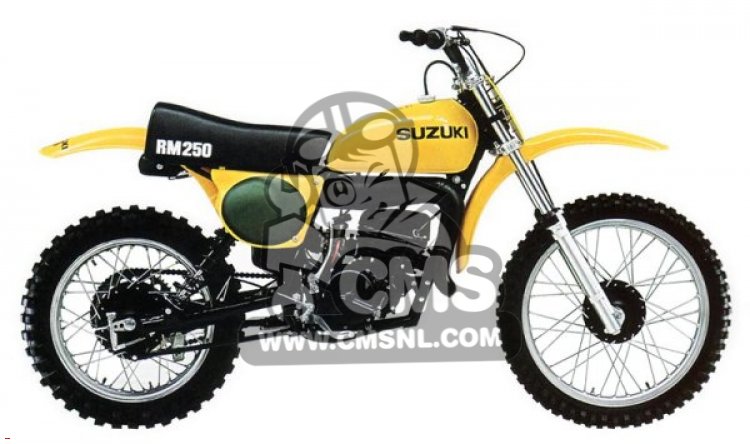 Suzuki RM250