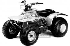 Honda TRX125 FOURTRAX 125 1985 (F) USA parts lists and schematics