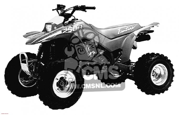 Honda Honda TRX250R FOURTRAX 250R 1988 (J) USA parts lists