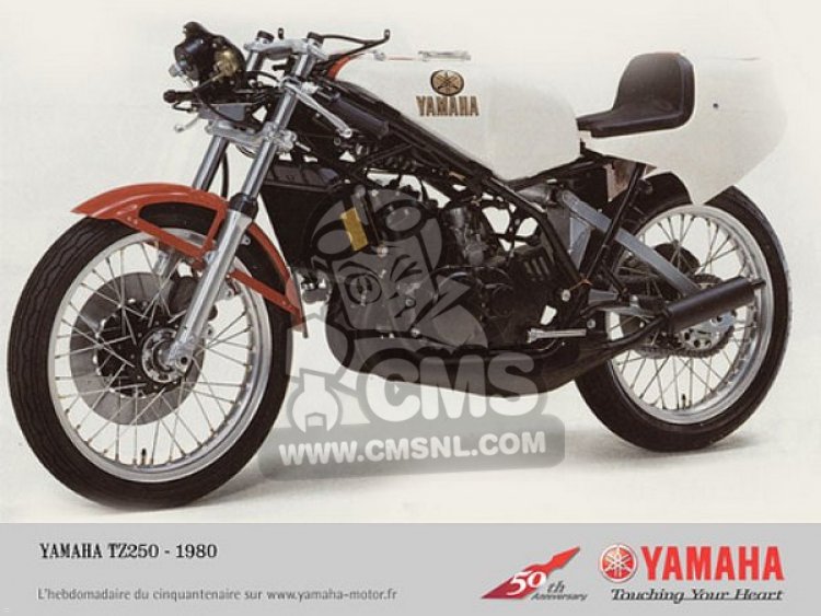 ヤマハ TZ ヤマハ TZ250 2009年式の諸元・スペック情報 | ウェビック