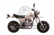 Honda XZ50 APE parts: order spare parts online at CMSNL Honda XZ50 APE parts: order spare parts online at CMSNL