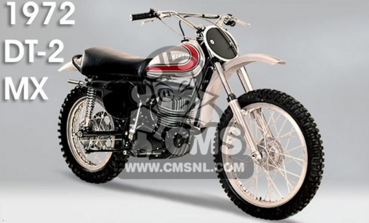 Yamaha DT2 information