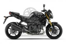 Yamaha FZ8-N 2011 39P1 EUROPE 1K39P-300E1 parts