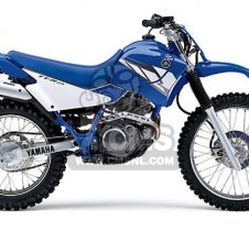 Yamaha TTR225