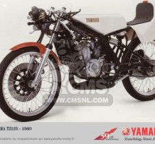 Yamaha TZ125 parts: order genuine spare parts online at CMSNL