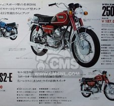 Yamaha YDS6