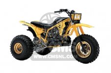 Yamaha YTZ250