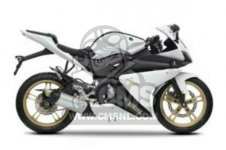 Yamaha YZF R125 parts: order genuine spare parts online at CMSNL