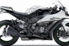 スポーツ Kawasaki ZX1000部品: CMSNLで純正スペアパーツをオンライン注文