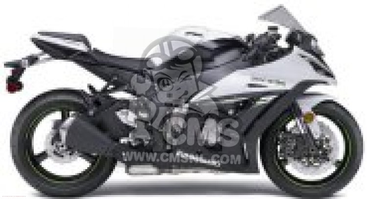 Kawasaki ZX1000KEF NINJA ZX-10R ABS 2014 EUROPE,MIDDLE EAST,AFRICA
