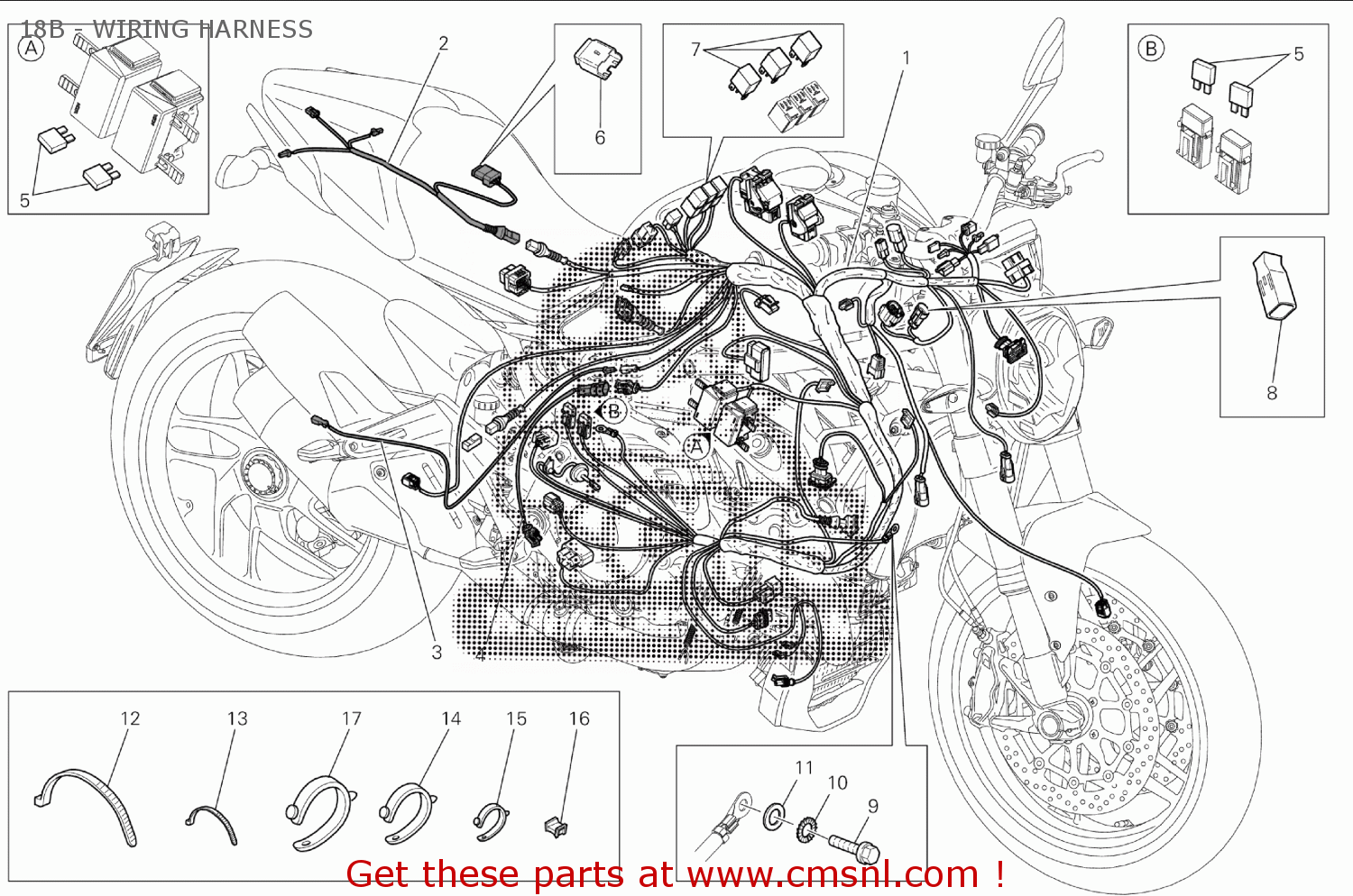 51019501C: Extension, Wire Harness Ducati - buy the 51019501C at CMSNL