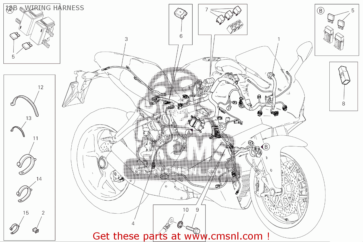 5101C161B: Rear Wiring Ducati - buy the 5101C161B at CMSNL
