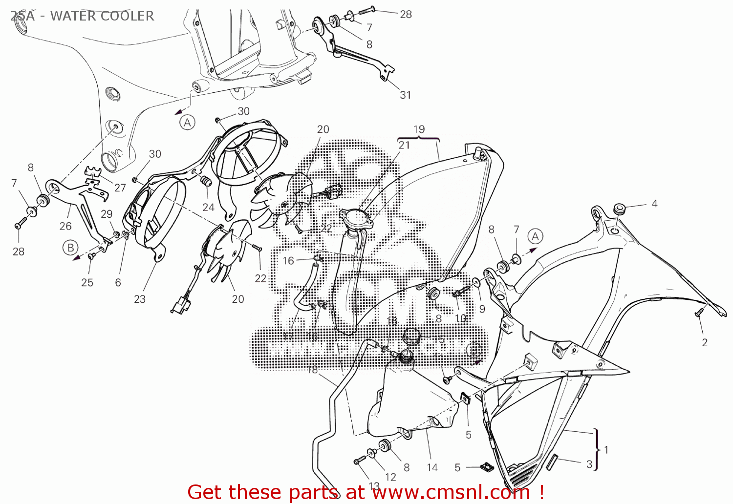Ducati RADIATOR PROTECTION 48411502A Ducati RADIATOR PROTECTION 48411502A