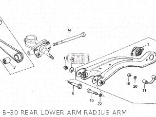 Arm Comp.,radius photo
