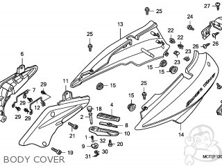 SET ILLUS*NH237P* SET ILLUS*NH237P*