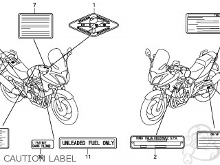 LABEL,COLO*TYPE3* LABEL,COLO*TYPE3*