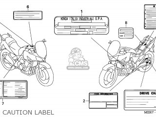 LABEL,COLO*TYPE3* LABEL,COLO*TYPE3*