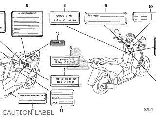 LABEL,COLO*TYPE3* LABEL,COLO*TYPE3*