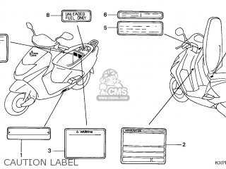 LABEL,COLO*TYPE3* LABEL,COLO*TYPE3*