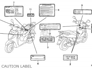 LABEL,COLO*TYPE3* LABEL,COLO*TYPE3*