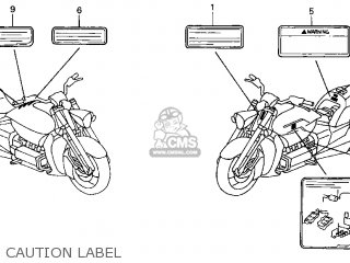 LABEL,COLO*TYPE3* LABEL,COLO*TYPE3*
