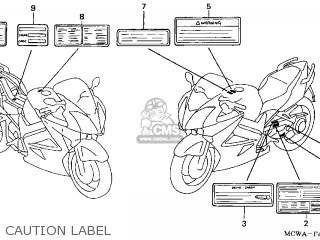 LABEL,COLO*TYPE3* LABEL,COLO*TYPE3*