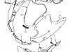 Small Image Of Cowling model W