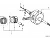 Small Image Of Crankshaft piston nss2501 nss250a