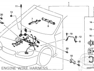 32110PAAA01: Wire Harness, Engine Honda - Buy The 32110-PAA-A01 At CMSNL