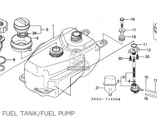 Tank Comp, Fuel photo